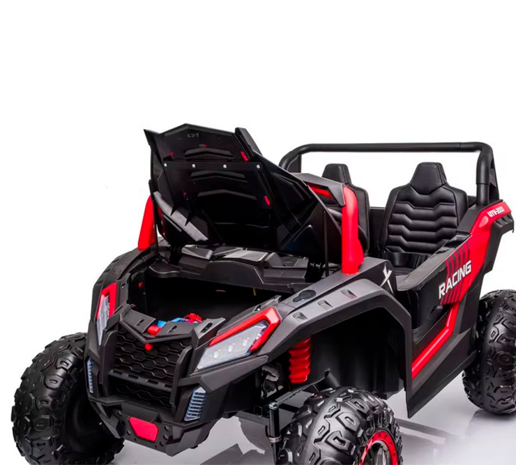 Detalhe do Buggy Racing UTV